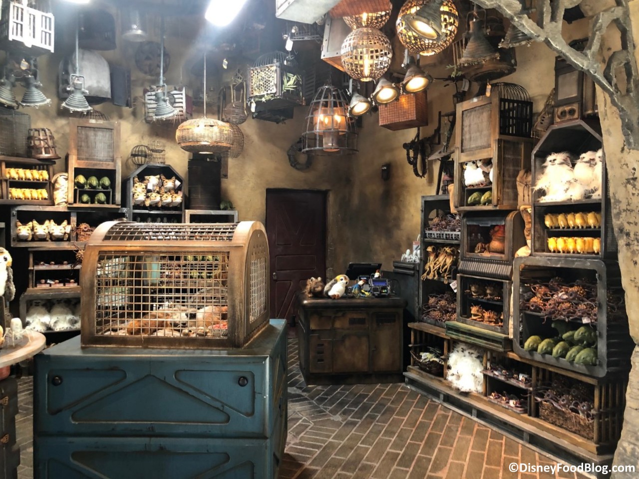 See All the Creatures and Critters at the Creature Stall in Star Wars: Galaxy's Edge! | the disney food blog