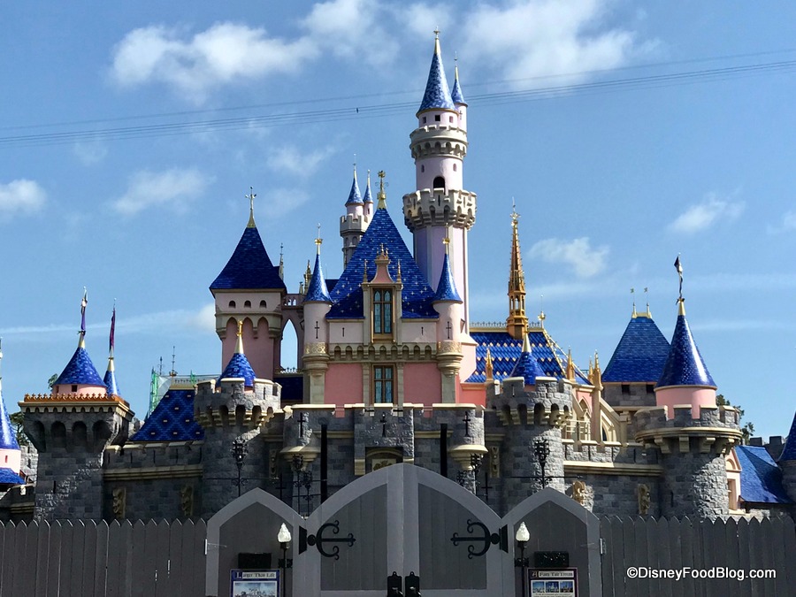 Loungefly Disney Days Mini Backpack Pink Castle Bag Aurora Disneyland Walt  World