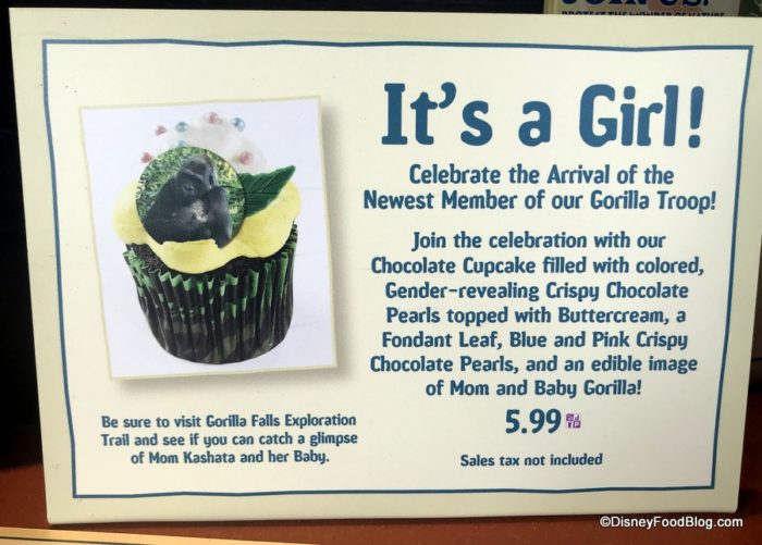 its-a-girl-gender-reveal-cupcake-tamu-ta