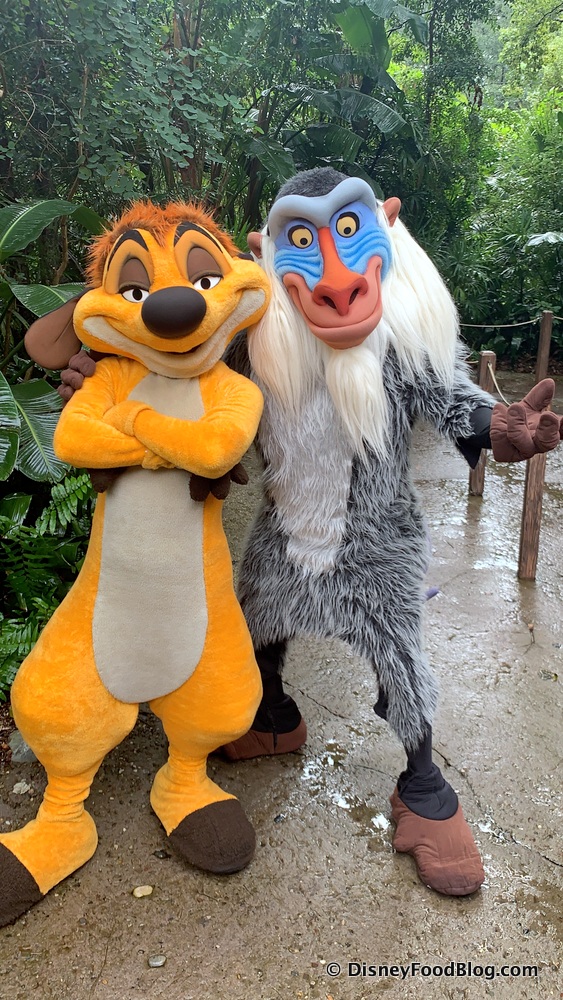 Hang Out With Timon and Rafiki Now Meeting Together in Disney World! | the  disney food blog