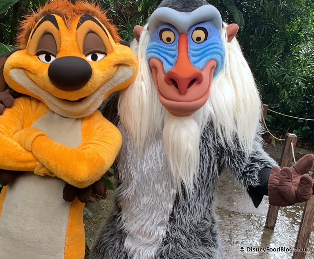Hang Out With Timon and Rafiki Now Meeting Together in Disney World! | the  disney food blog