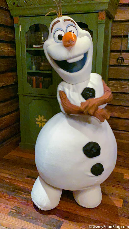 Agnes Gray Volg ons Ramen wassen We Found the MUST-GET Frozen Christmas Present in Disney World! | the disney  food blog