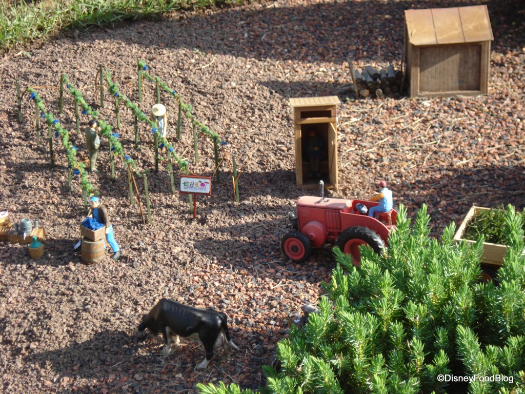 A Banner Marks the Crops for the Festival