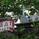 Dinoland, Animal Kingdom