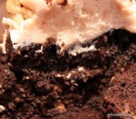 Snack Series: Peanut Butter Cup Cupcake at Main Street Bakery | the ...