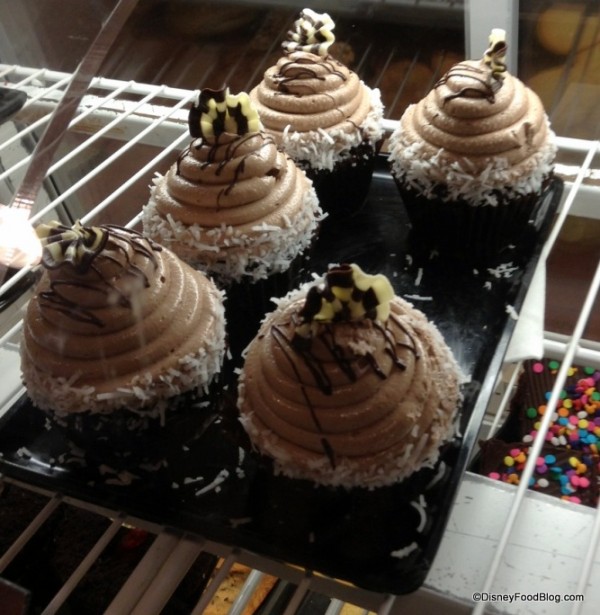 Chocolate Covered Coconut Cupcake in Bakery Case
