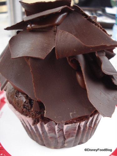 Chocolate Peanut Butter Cupcake 