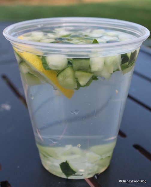 Cucumber Lemon Spa Water