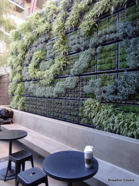 Living Wall with Patio Seating