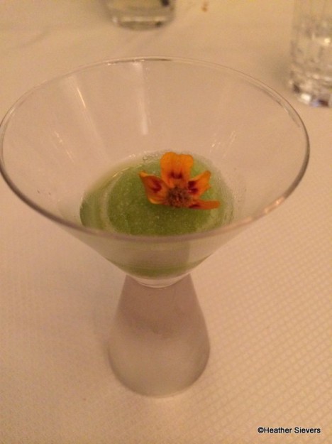 Cucumber Lime Sorbet with Edible Flower