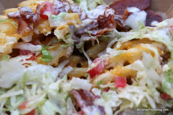 BLT Waffle Fries underneath toppings