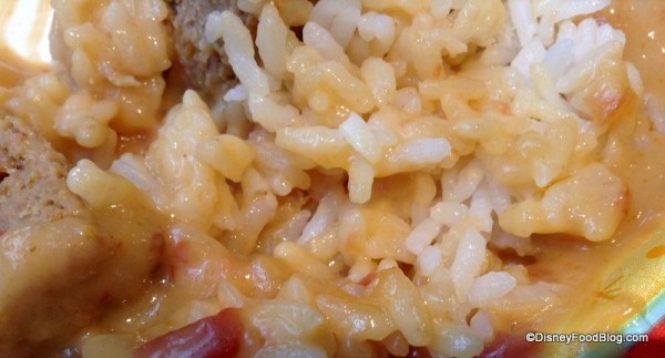 Closeup of rice and sauce
