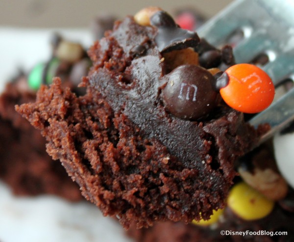 The Everything Brownie -- Up Close