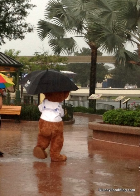 Rainy Day in Epcot