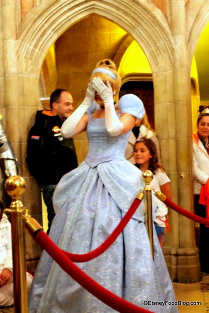 Hide 'n Seek with Cinderella!