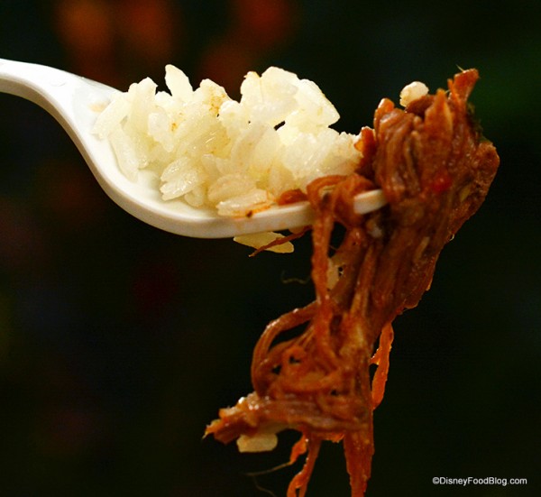 Shredded Beef and Rice