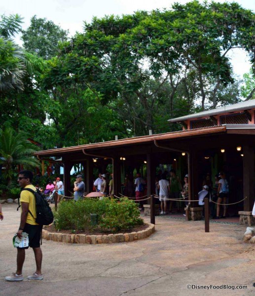 Flame Tree ordering area