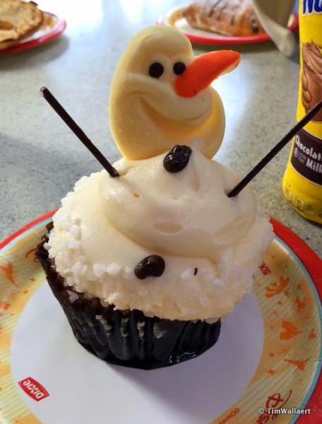 Is a Trip to WDW Worth Melting For?