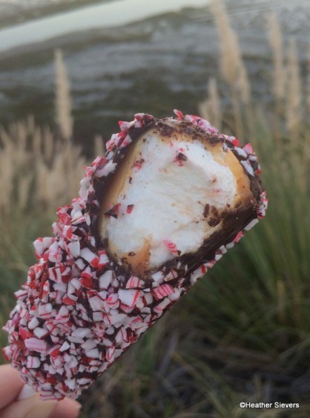Candy Cane Marshmallow Wand Cross Section