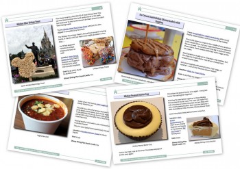 Now Available! The DFB Guide to Magic Kingdom Snacks e-Book 2016-17
