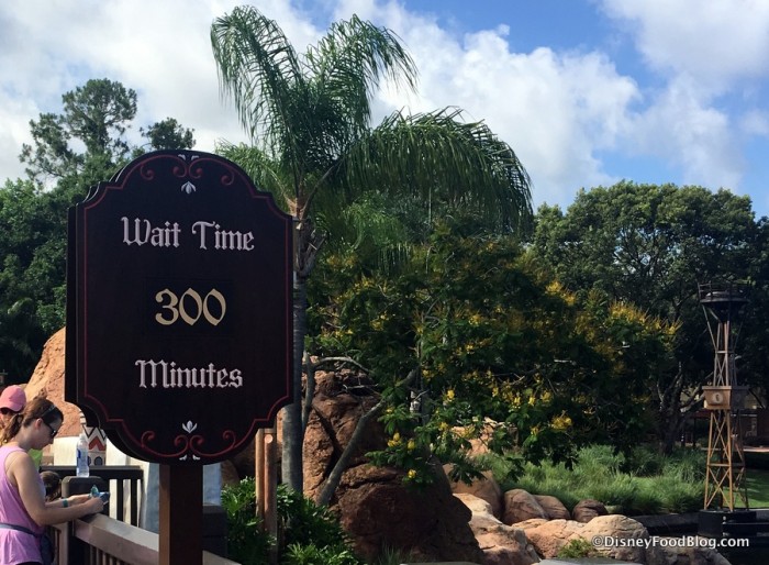 Wait Time for Frozen Ever After on Opening Day