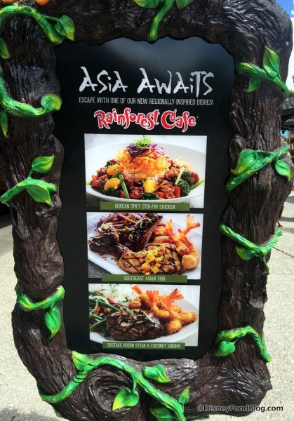Rainforest Cafe Asian Dishes