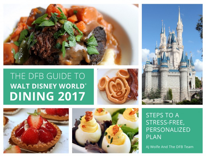 2017-dfb-guide-cover-mockups-r2-02