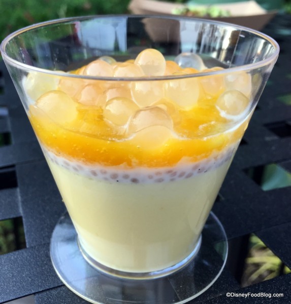 Passion fruit posset and coconut chia with mango compote and jelly