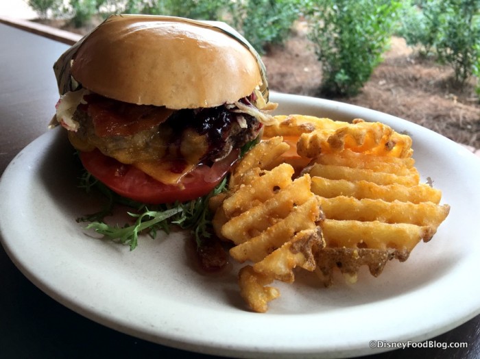 Bison Cheeseburger and Waffle Fries at Geyser Point Bar and Grill