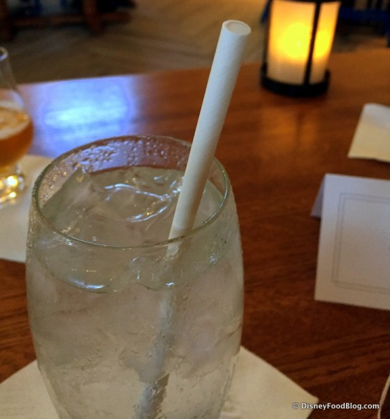 Paper Straws to Protect Sea Turtles and Other Sea Life