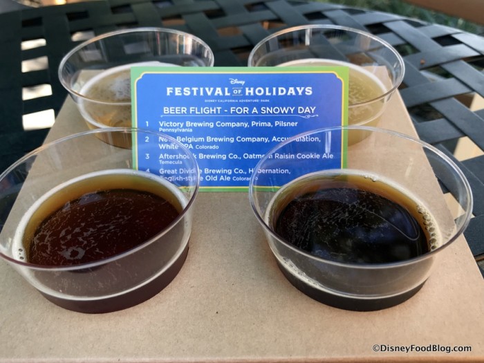 Flight for a Snowy Day