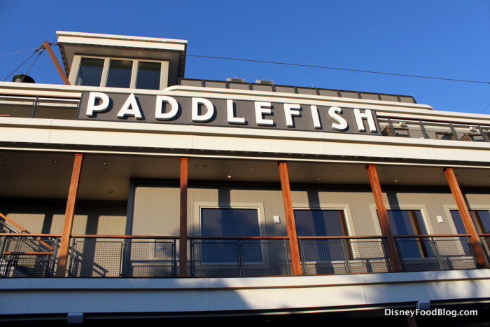 Paddlefish