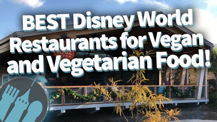 DFB Video: Best Disney World Restaurants for Vegan and Vegetarian Food ...