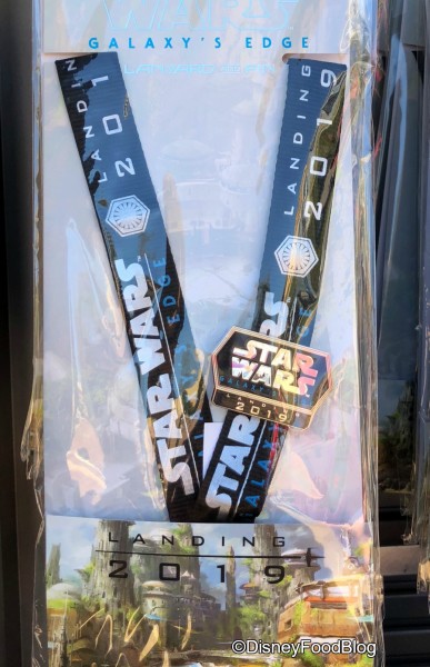 Here’s What’s Happening With Disney World Pin Trading Right Now. 