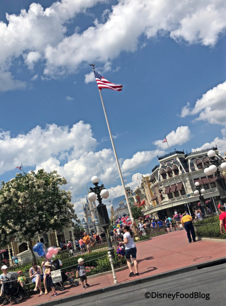 Main Street, U.S.A. Flag