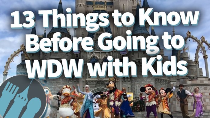DFB Video: Thirteen Things You Need to Know Before Going to Disney
