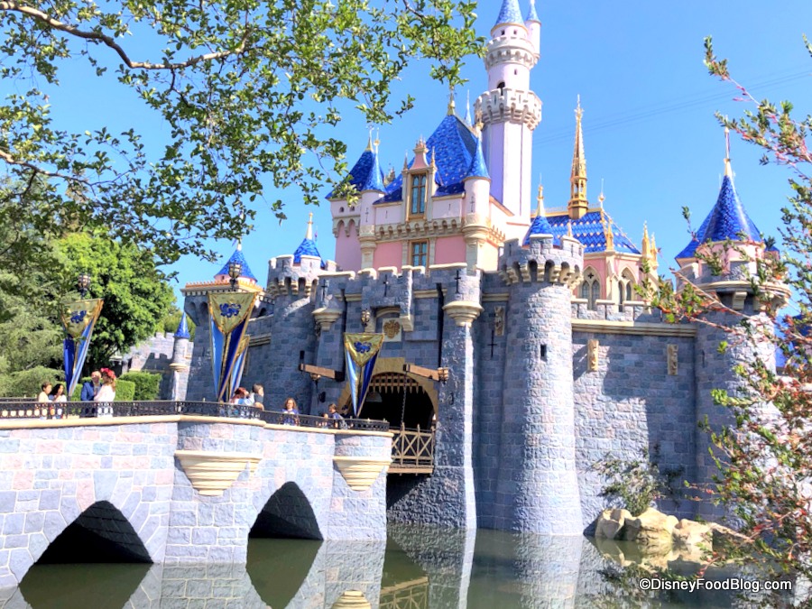 Your Step-by-Step Guide to Making a Disneyland Park Pass Reservation