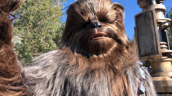 News! Disneyland After Dark: Star Wars Nite Has Been Delayed 