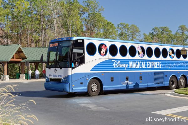 Have You SEEN THIS?! Disney’s Really Rubbing Salt in the Wound, Y’all.
