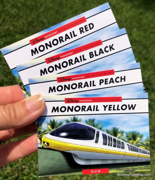 Disney-World-Monorail-Transportation-Car