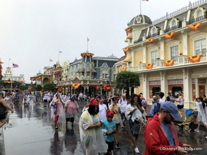 Heads Up! Here Are 5 Things You ?CAN’T? Do in Disney World Anymore! 