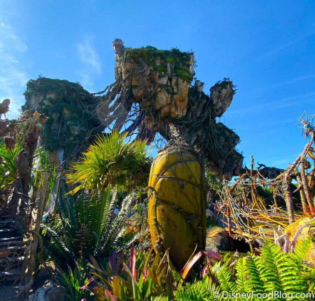 6 Reasons You Need To Go To Disney World In The MORNING. 