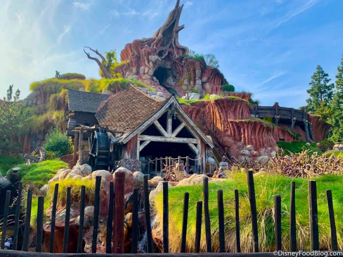 NEWS and Photo: Splash Mountain Will Be Re-Themed to Princess and the Frog In Disney World and Disneyland 