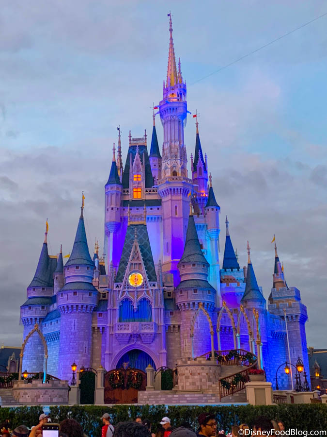 Disneyland Resort The Magic is Back Sleeping Beauty Castle Pin Brand New LR 