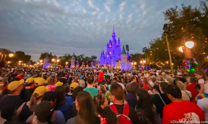 7 Problems You WON’T Have When Disney World Reopens 