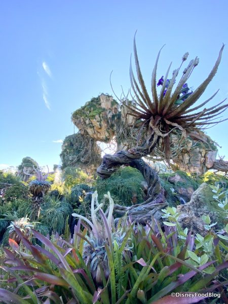 6 CRAZY RARE Things You Can See in Disney World (And When You Can Spot Them)! 