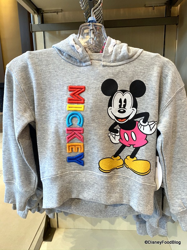 Disney Parks Mickey & Friends Hoodie Sweatshirt Pullover Colorful Fab 5  M L XL