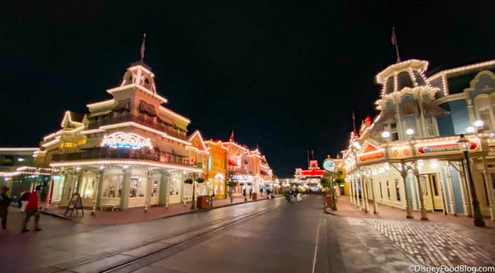 6 CRAZY RARE Things You Can See in Disney World (And When You Can Spot Them)! 