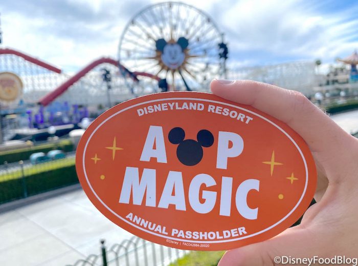 Could Disney Annual Passholders Get EXTRA Days Added to Their Passes Following the Reopening? 
