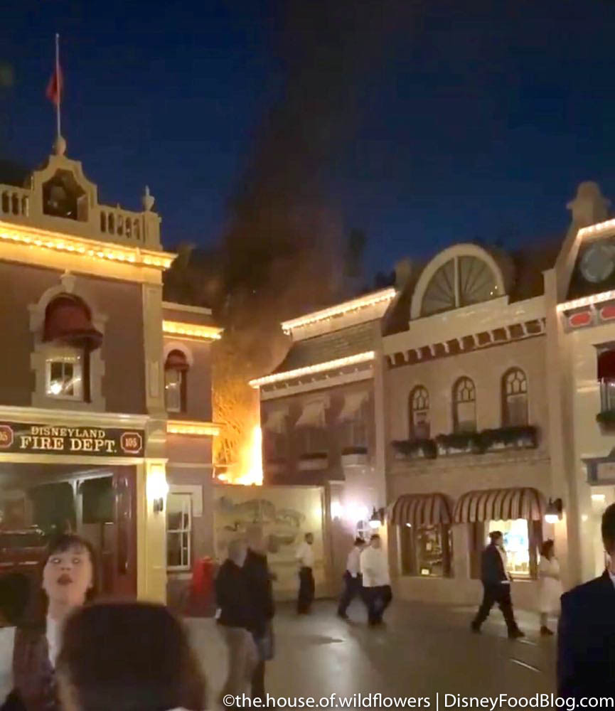 Breaking News! A Fire Has Been Put Out in Disneyland! | the disney food